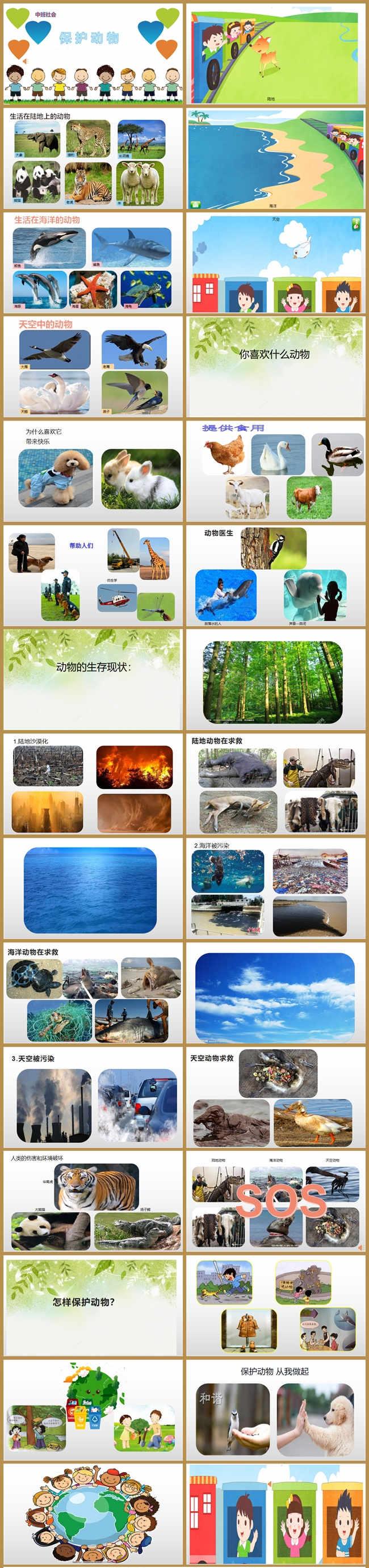 中班社会《保护动物》课件.jpg